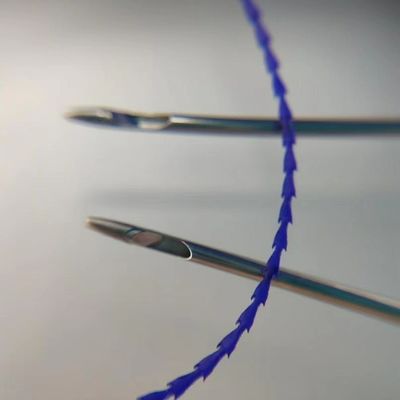 A linha da roda denteada do molde de PDO PCL para a verificação do olho da cara arma o levantamento