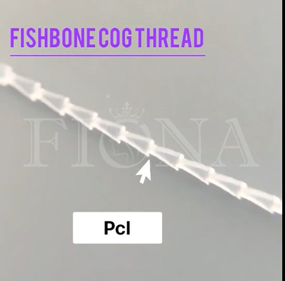 Âncora/tubarão absorventes da linha da roda denteada do molde de PDO PCL PLACL