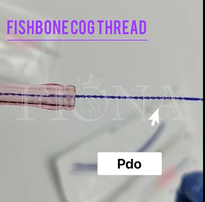 Linha da roda denteada do molde do Fishbone